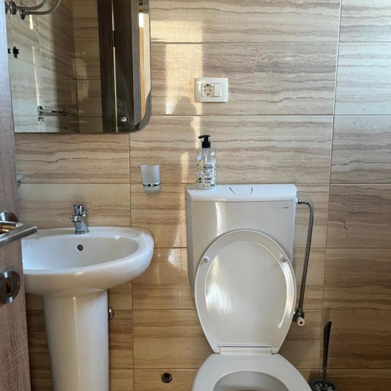 Apartmani Dasic - Apartman sa 1 Spavaćom Sobom - 5