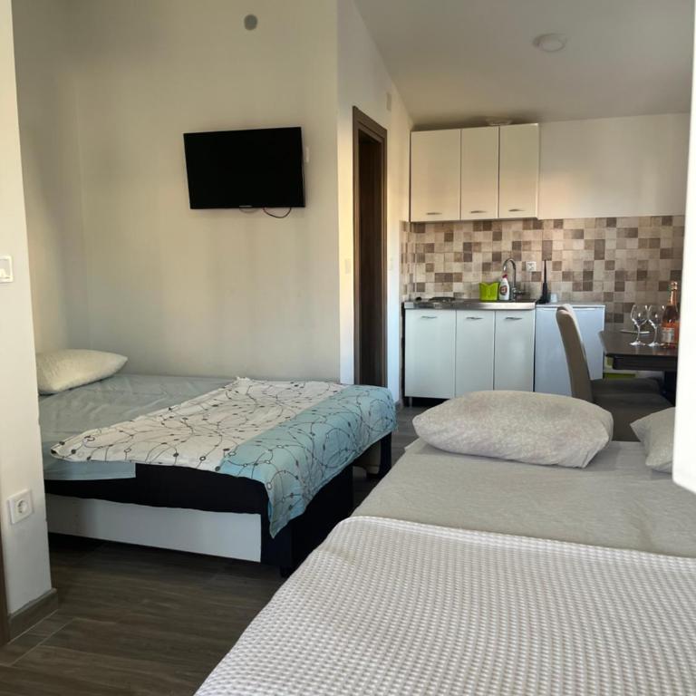 Apartmani Dasic - Apartman sa 1 Spavaćom Sobom - 6