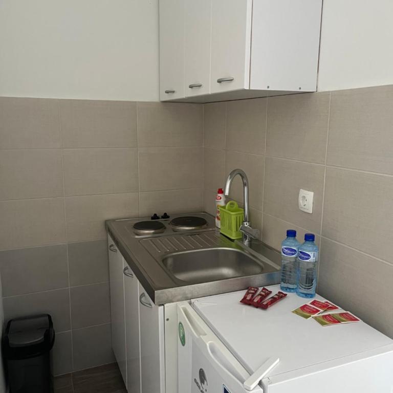 Apartmani Dasic - Apartman sa 1 Spavaćom Sobom - 4