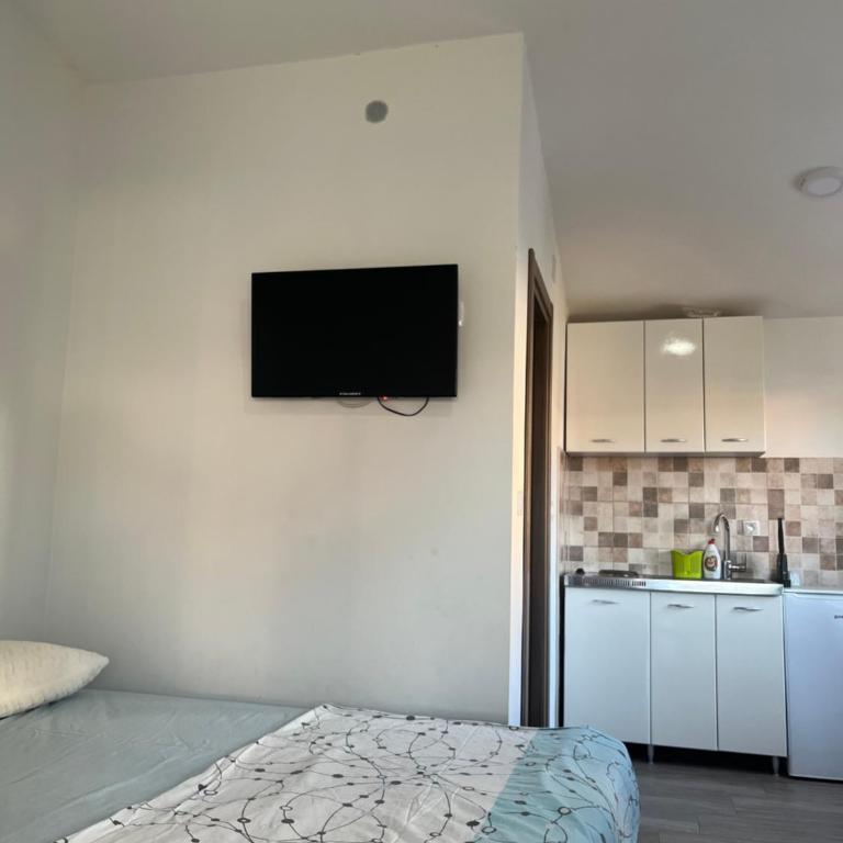 Apartmani Dasic - Apartman sa 1 Spavaćom Sobom - 7