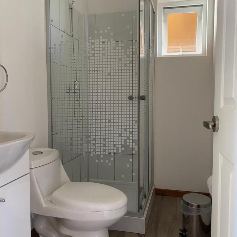 Cabañas Cruce Las Quemas Osorno - Two-Bedroom Apartment - 7
