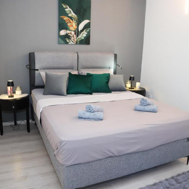 Mostar Comfort Suites with Free Parking - Two-Bedroom Apartment with Garden View - 1