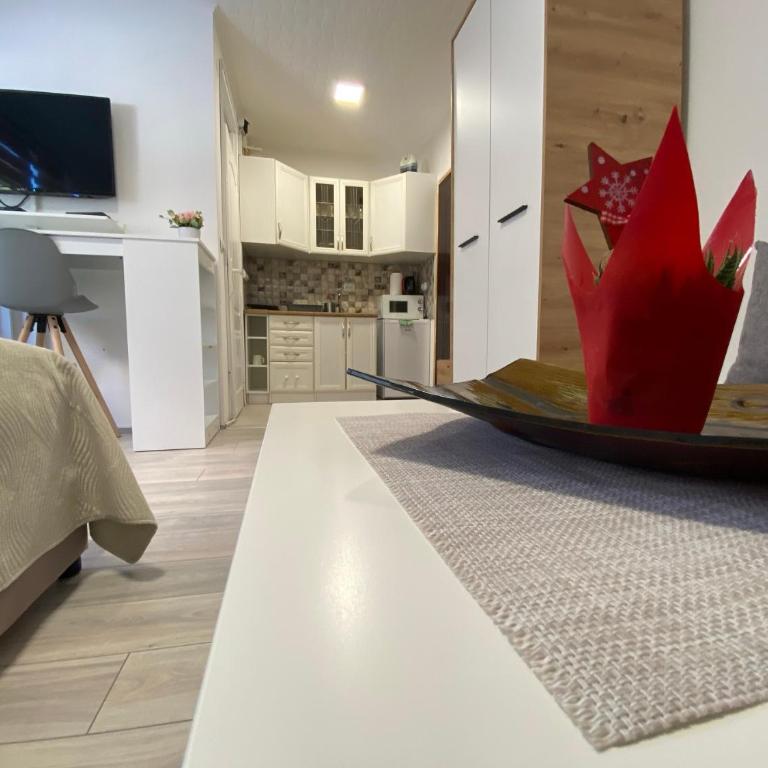 Apartmani Krčmarica 9 - Apartman sa 1 Spavaćom Sobom - 4