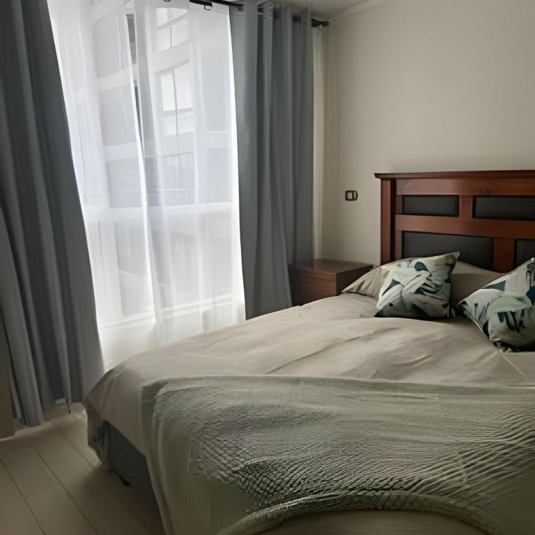 NR Apart Tocornal - Deluxe Apartment - 43