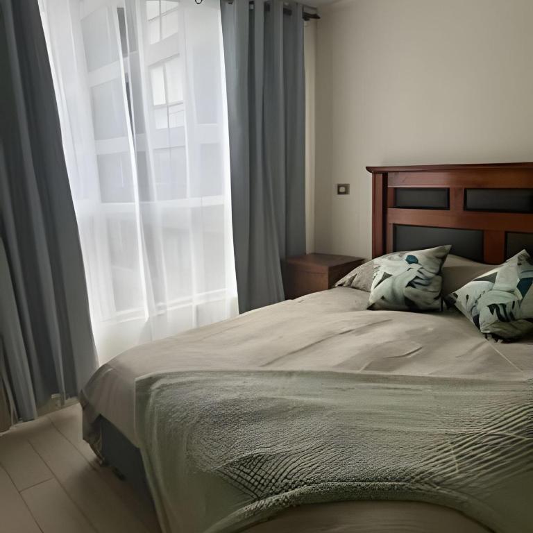 NR Apart Tocornal - Deluxe Apartment - 44