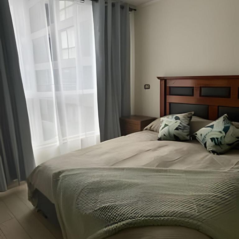 NR Apart Tocornal - Deluxe Apartment - 45