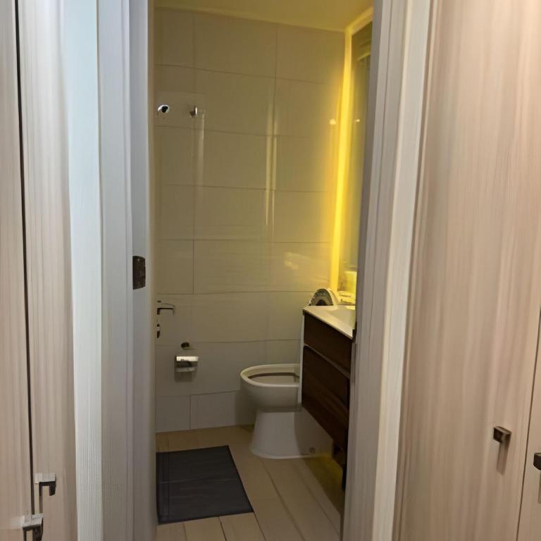NR Apart Tocornal - Deluxe Apartment - 46