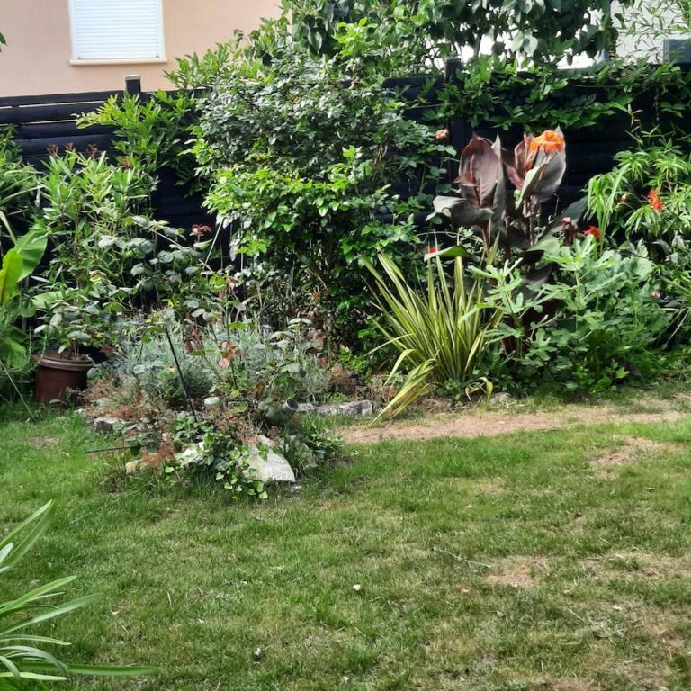 Maison tranquille dans centre ville - Haus mit 3 Schlafzimmern - 11