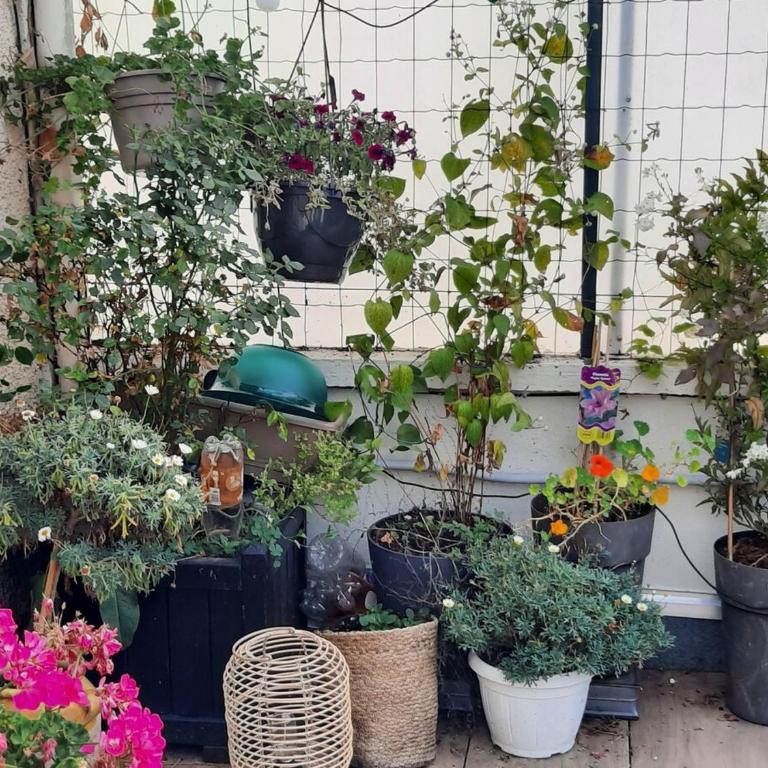 Maison tranquille dans centre ville - Haus mit 3 Schlafzimmern - 12