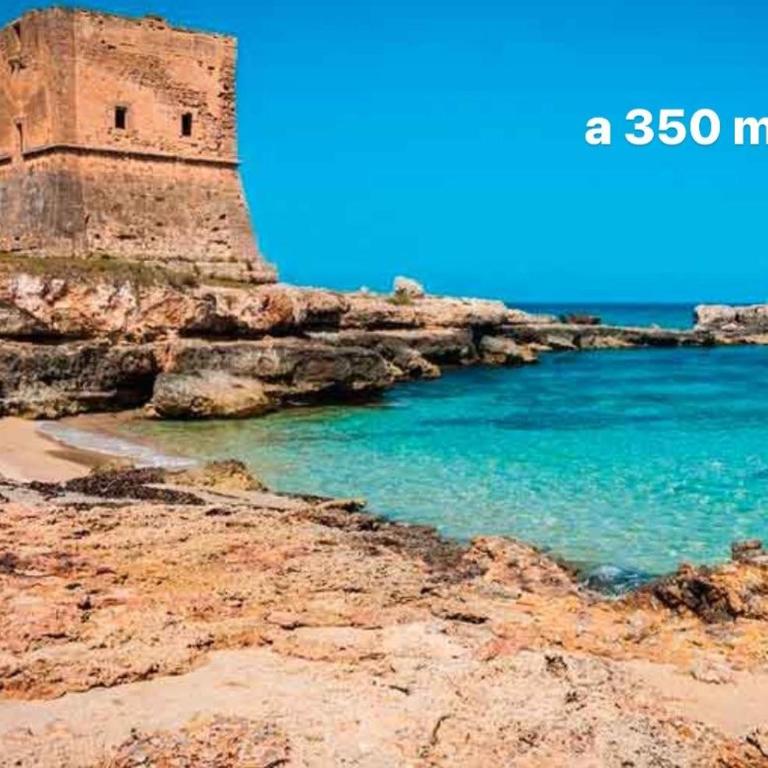 Villa Emma 50 mt from the sea with private pool - Villa with Sea View - 12