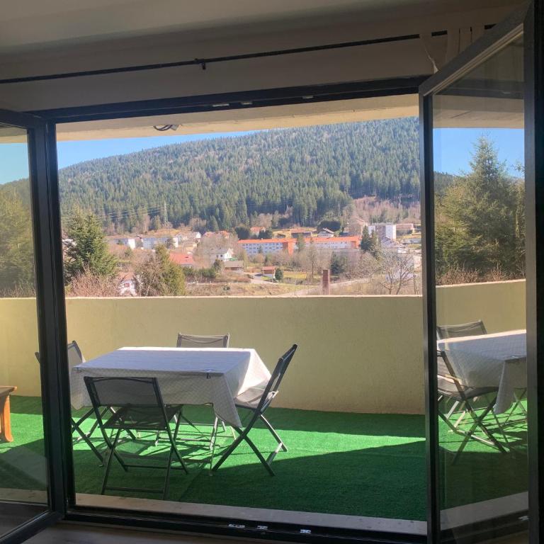 Appartement lumineux 60 m2 avec grand balcon plein sud a Gérardmer - Appartement 2 Chambres - 2