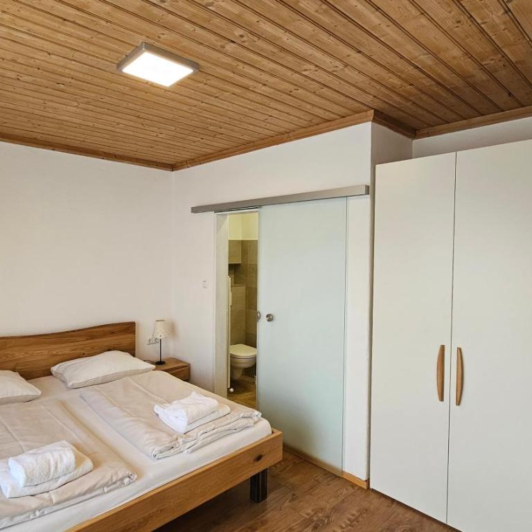 Haus Schiwelt - Studio - 3