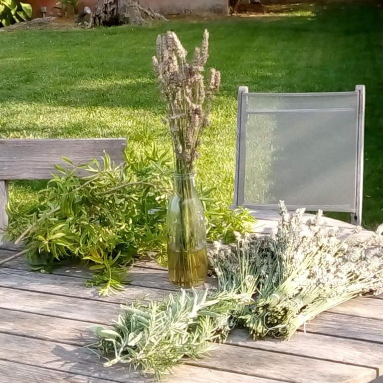 Guest house with private tennis court - Maison de Vacances - 15