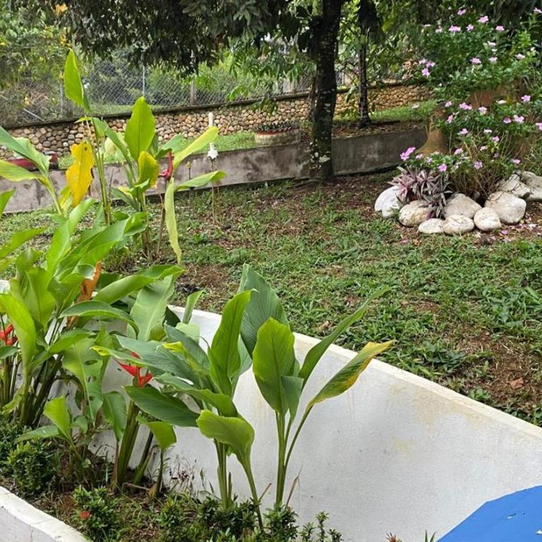 villa bonita - Casa de 3 dormitorios - 11
