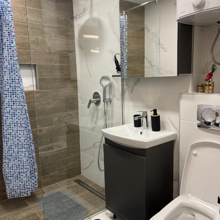 Lux Apartman Grujiic - Apartman sa 1 Spavaćom Sobom - 2