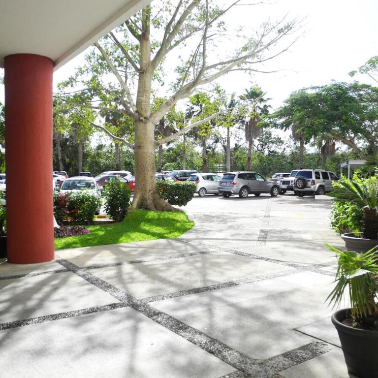 EL PALMAR Luxury XL Oceanview Condo - Apartamento de 4 habitaciones - 7