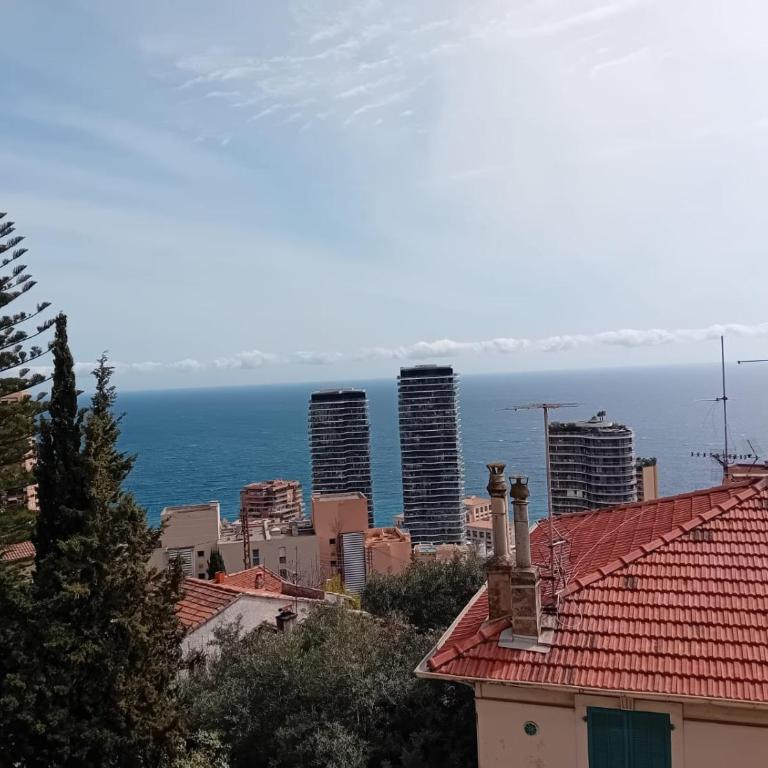 Luxury Apartment MonacoView - Appartement 2 Chambres avec Terrasse - 27
