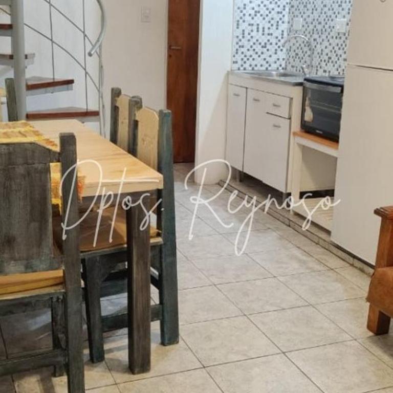 Dptos Reynoso - Loft - 5