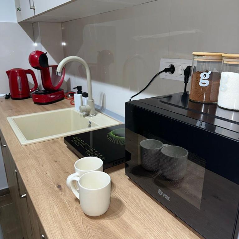 Ivanovic - Apartman sa 1 Spavaćom Sobom - 13