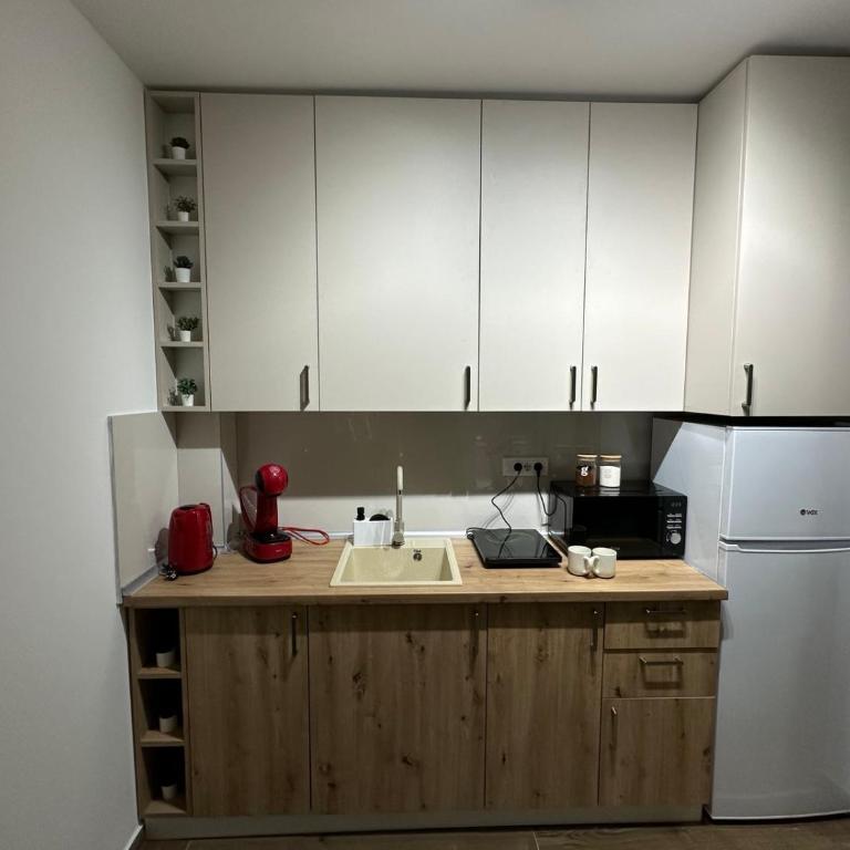 Ivanovic - Apartman sa 1 Spavaćom Sobom - 17