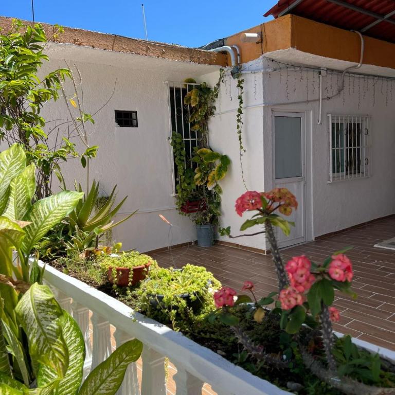 Alojamiento en la calle 56 Playa del Carmen - Apartamento de 1 dormitorio - 1