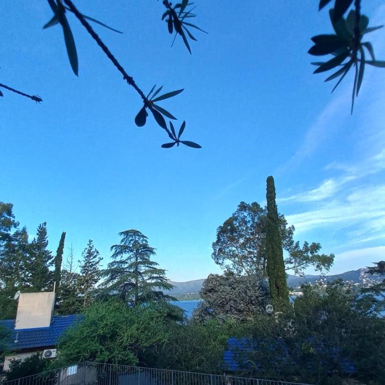 Cabañas Los Pinos Aires del Lago - Apartamento de 1 dormitorio con vistas - 2