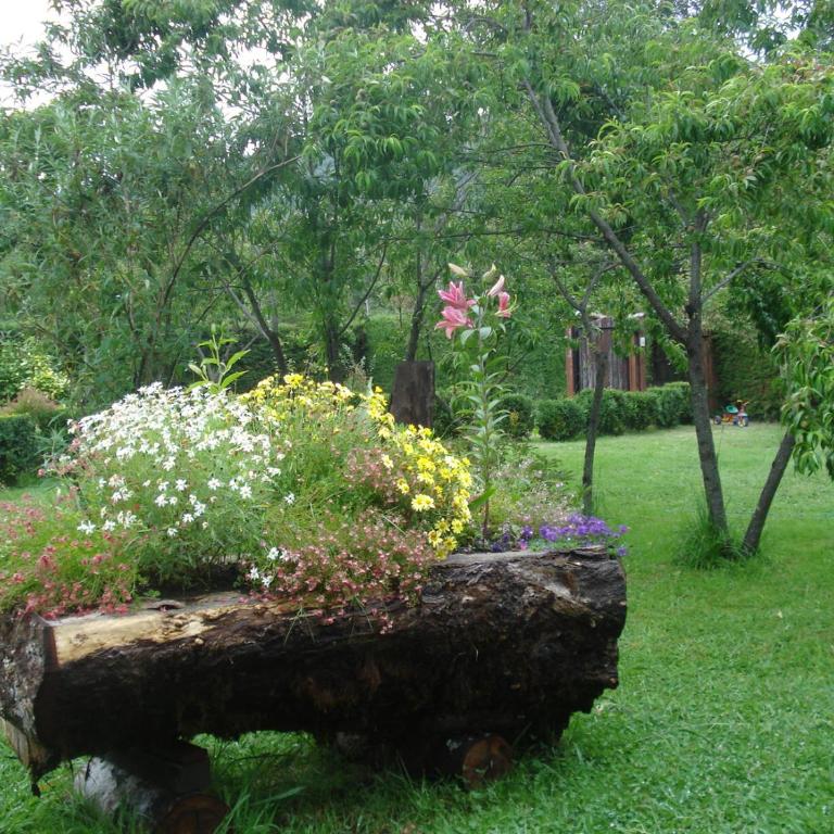 Cabañas Rukalafquen - Cottage with Garden View - 20