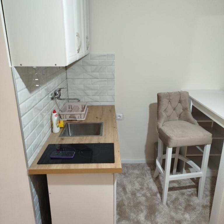 STUDIO Apartman AS - Apartman sa 1 Spavaćom Sobom - 7