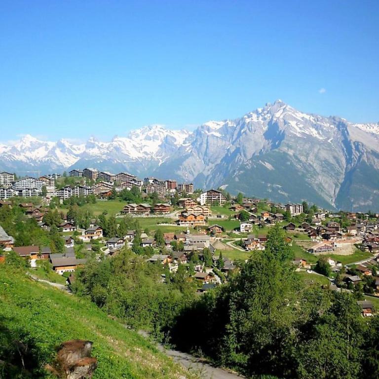 Chalet in Nendaz near Ski Slopes - Superior Chalet - 5