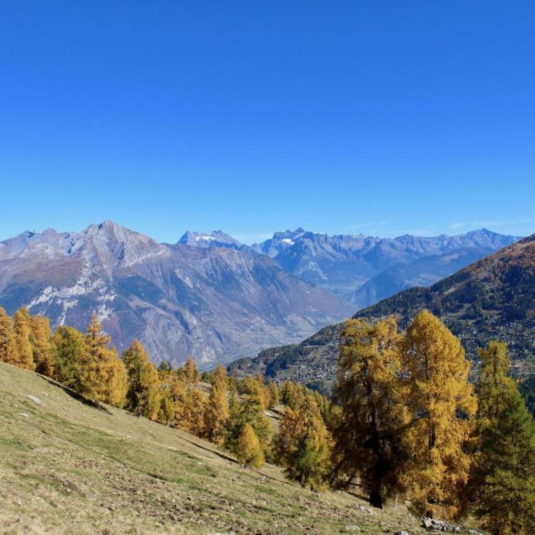 Chalet in Nendaz near Ski Slopes - Superior Chalet - 27