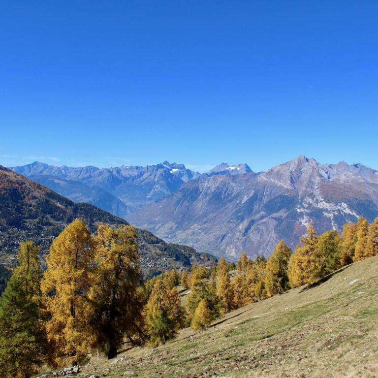 Chalet Nendaz Ski-In Ski-Out Prarion Slopes - Apartamento de 2 dormitorios - 32