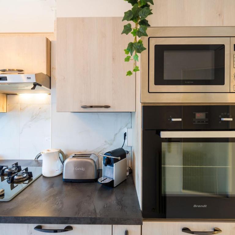 L'épurée, centre ville, 150m de la plage - Appartement 1 Chambre - 17