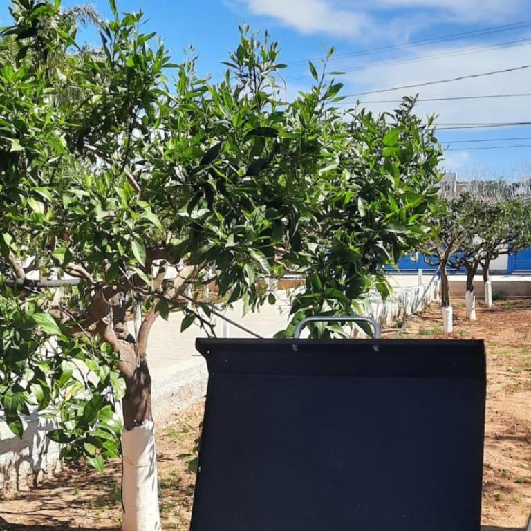 A pochi passi dal mare - Villa con 2 Camere da Letto - 26