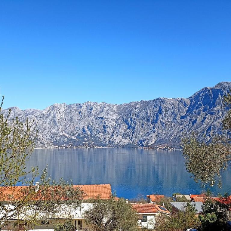 Vibrant BayView Apartment Kotor - One-Bedroom Apartment - 1