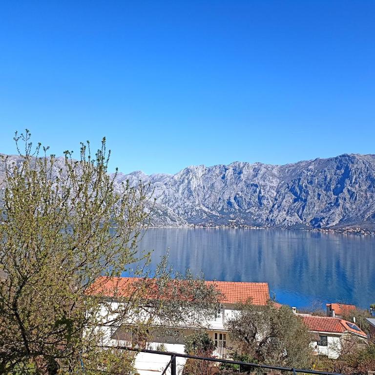 Epic BayView Apartment Kotor - One-Bedroom Apartment - 29