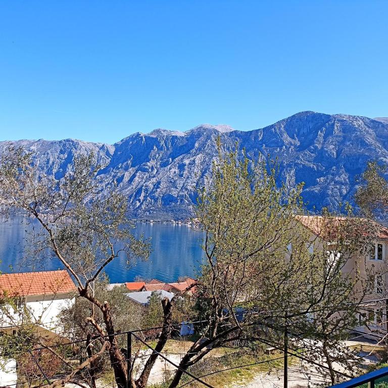Epic BayView Apartment Kotor - One-Bedroom Apartment - 36