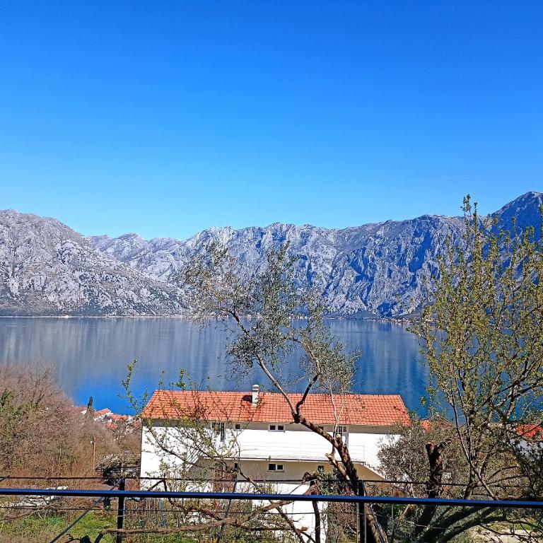 Epic BayView Apartment Kotor - One-Bedroom Apartment - 40