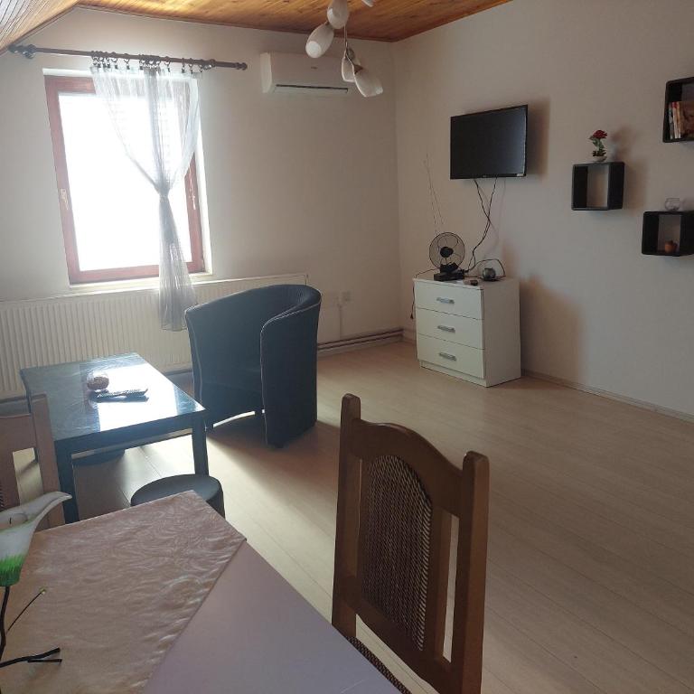 Djokić 2 sa bazenom - Apartman sa 1 Spavaćom Sobom - 4