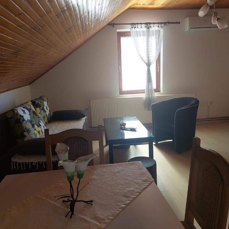 Djokić 2 sa bazenom - Apartman sa 1 Spavaćom Sobom - 5