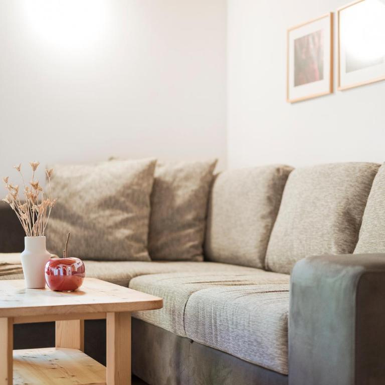 Pension-Appartement Mitterhofer - Appartamento con 1 Camera da Letto - 12