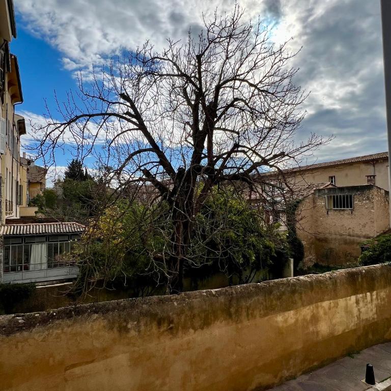 La Suite Mazarin - One-Bedroom Apartment - 26