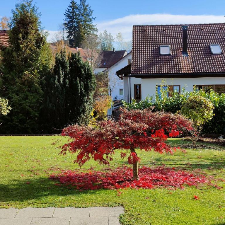 Ferienwohnung Pusteblume - Apartment mit 1 Schlafzimmer und Badezimmer - 8