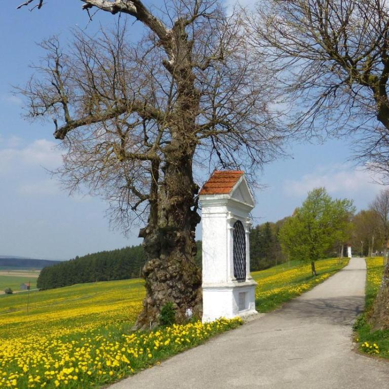 Ferienwohnung Pusteblume - Apartment mit 1 Schlafzimmer und Badezimmer - 18