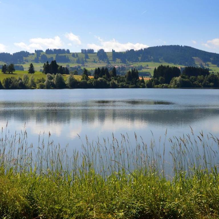Ferienwohnung Pusteblume - Apartment mit 1 Schlafzimmer und Badezimmer - 39