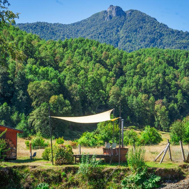Cabaña 4 personas hualle sur cerca huilo huilo - Apartamento de 2 dormitorios - 16