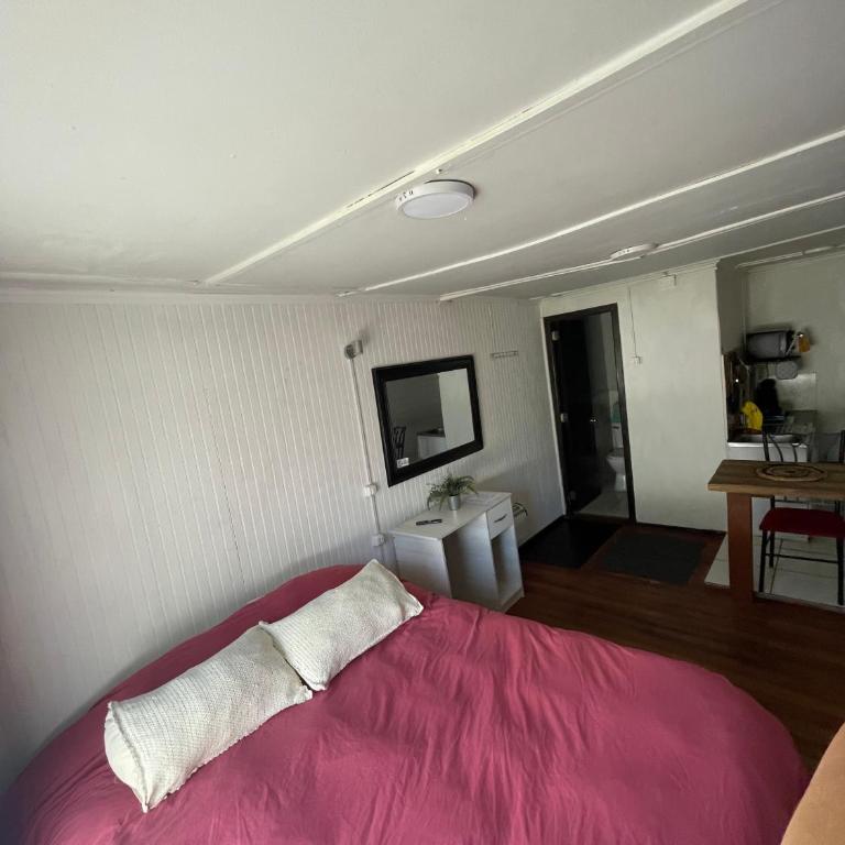 Departamento minicasa en Osorno - Apartamento de 1 dormitorio - 12