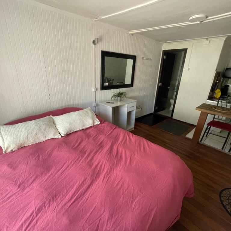 Departamento minicasa en Osorno - Apartamento de 1 dormitorio - 7