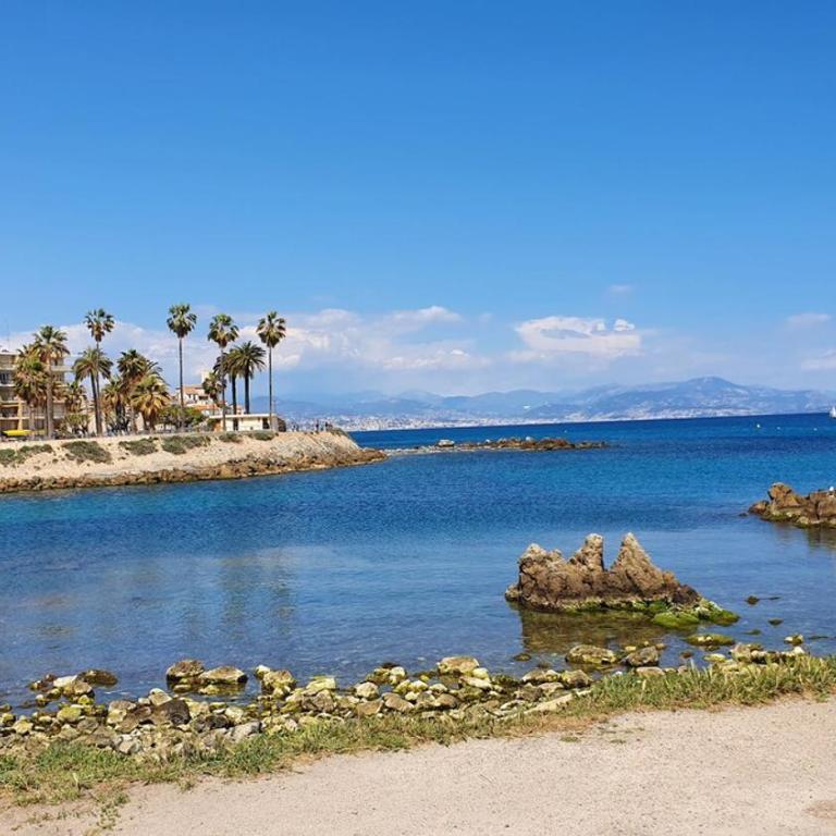 Cap d'Antibes Duplex studio Garden-terrace Beaches - Apartment mit Gartenblick - 11