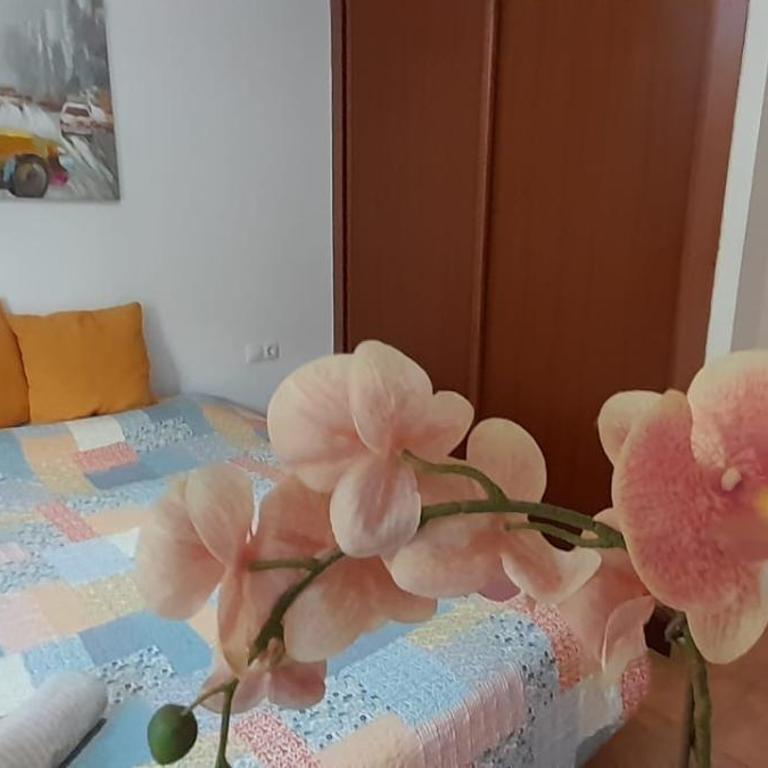 Brisas Apartment with pool - Apartamento de 2 dormitorios - 22