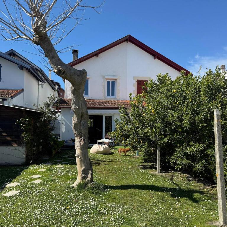 Maison Piscine Jardin Parking - Ferienhaus - 10